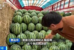 湘北吃瓜,揭秘校园里的那些事儿