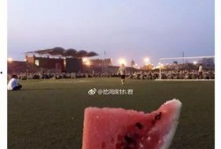 情意吃瓜全文,一场关于情感与美食的深度体验之旅