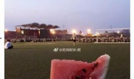 情意吃瓜全文,一场关于情感与美食的深度体验之旅