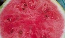 新桥医院吃瓜,揭秘背后的真相与反思