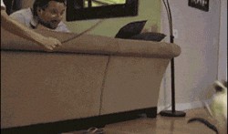 吃瓜gif图片,揭秘吃瓜gif背后的趣味瞬间