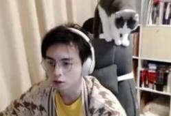 吃瓜直播桃哥,吃瓜群众的热门话题解析