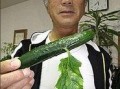 带你吃瓜变异蔬菜,带你探索“带你吃瓜”变异蔬菜的奥秘