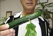 带你吃瓜变异蔬菜,带你探索“带你吃瓜”变异蔬菜的奥秘