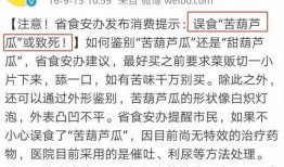 带你吃瓜语文翻译,带你领略“吃瓜群众”的趣味解读