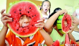 一年吃瓜记录,盘点那些让人“瓜”意盎然的瞬间