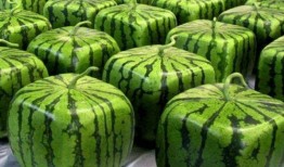 中国人吃瓜现场,一场全民“吃瓜”盛宴