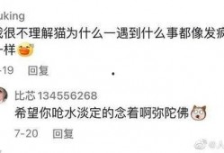 吃瓜忘了自己没钱,钱包空空忙