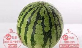 学士街吃瓜,街头小吃与闲话连篇