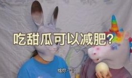 吃瓜悠闲bgm,乐享生活——跟随bgm感受轻松时光