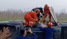 网络吃瓜翻车事例,揭秘那些被误传的真相与教训