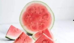 吃瓜的工作视频,工作视频中的趣味瞬间