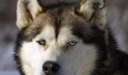 吃瓜憋笑,揭秘娱乐圈那些让人忍俊不禁的幕后故事