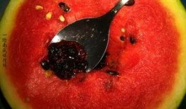 带你吃瓜奇葩软糖,带你探索“带你吃瓜奇葩软糖”的独特魅力