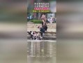 吃瓜视频的起源,从吃瓜视频起源看网络文化的崛起与演变