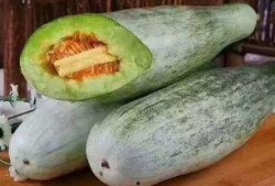 羊可以吃洋瓜吗