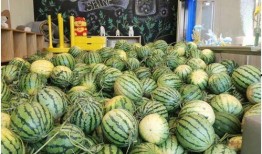 今日吃瓜成都mc,揭秘娱乐圈最新热点