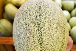 网格蜜瓜怎么吃,解锁夏日清新美味