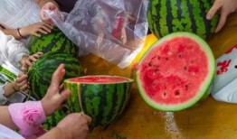 吃瓜的工作视频,工作视频中的趣味瞬间