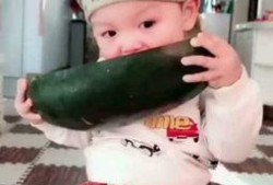 瓜宝宝吃瓜视频