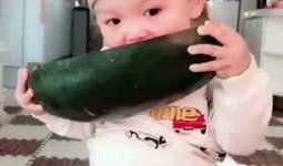 瓜宝宝吃瓜视频