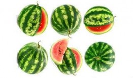 吃瓜小农,揭秘农村生活的酸甜苦辣