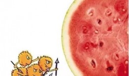 吃瓜过来,吃瓜群众视角下的娱乐圈风云录