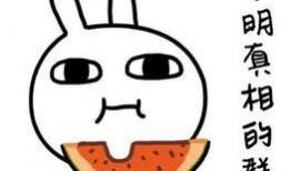 聚众吃瓜文案搞笑,一场聚众吃瓜的欢乐盛宴