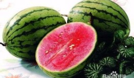 吃瓜途径,吃瓜群众如何洞察明星幕后故事