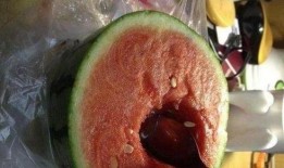 新桥医院吃瓜,揭秘背后的真相与反思