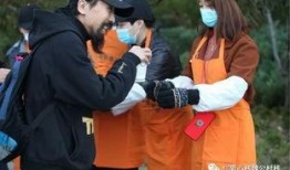 职业吃瓜观众,幕后真相与娱乐江湖风云录