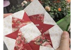 蘑菇爆料吃瓜视频,揭秘吃瓜视频背后的真相与幕后故事