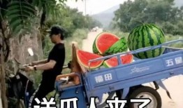 吃瓜伤感,伤感背后的吃瓜人生