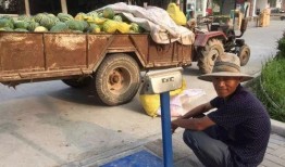 吃瓜群众的瓜车,揭秘吃瓜群众的瓜车传奇