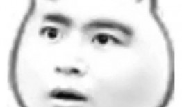 吃瓜情报圈,网络舆论场中的热点追踪与真相探寻