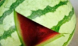 咬着吃的瓜,揭秘瓜类美食的诱惑与魅力