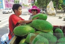 郏县最新吃瓜事,揭秘背后真相与热议焦点