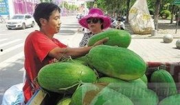 郏县最新吃瓜事,揭秘背后真相与热议焦点