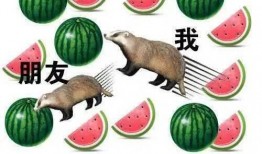 星期几吃瓜,揭秘吃瓜群众的快乐时光