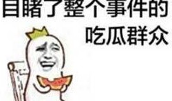 每天忙着吃瓜