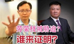 佛山律师吃瓜博主,揭秘法律圈幕后故事