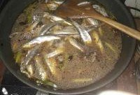 小鱼酱吃瓜,揭秘娱乐圈幕后故事