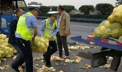 吃瓜群众的瓜车,揭秘吃瓜群众的瓜车传奇