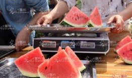 聊城市最近吃瓜