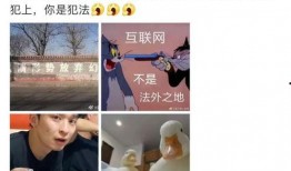 吃大瓜董子健,揭秘娱乐圈幕后故事