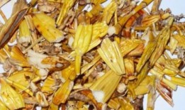 有瓜石斛直接吃,有瓜石斛，直接食用，健康生活从此开始