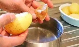 板栗吃哈密瓜,一场甜蜜的味蕾盛宴