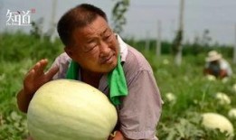 城市学吃瓜,探寻美食背后的城市文化底蕴