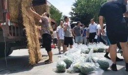 学院跳舞吃瓜,学院里的欢乐时光