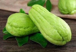孕妇吃小白瓜6,助力健康孕育新生命